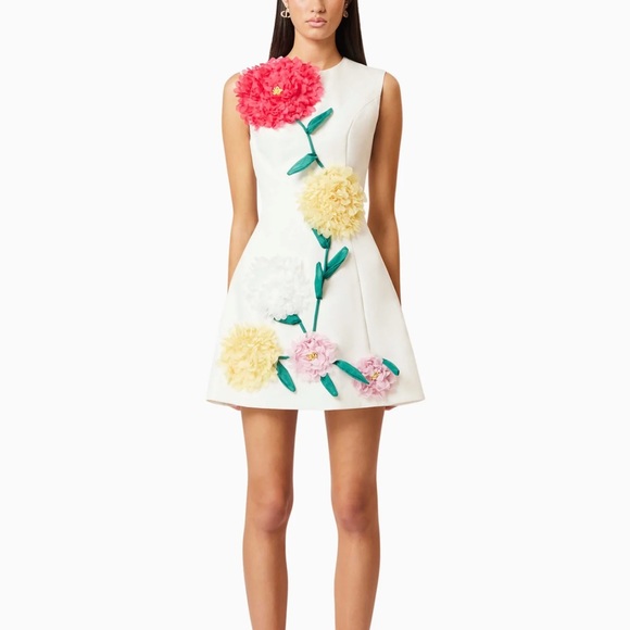 Elliatt buttercup embroidered mini dress-sold out on their website! - Picture 1 of 6